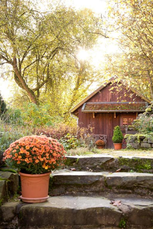 Romantik Hotel Landhaus Baerenmuehle Frankenau Buitenkant foto